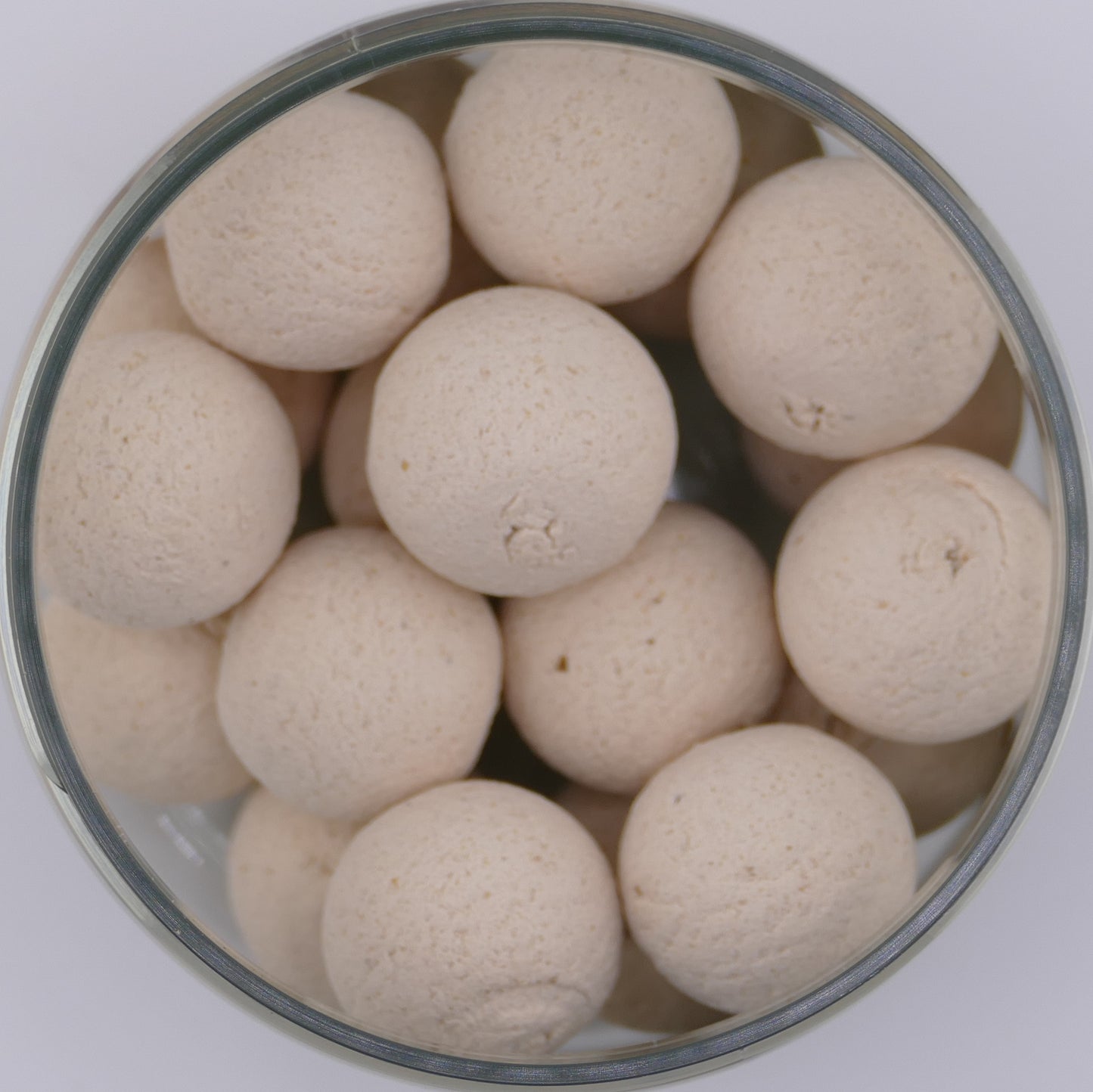 14-18mm Feeder/Karpfen Pop Up´s