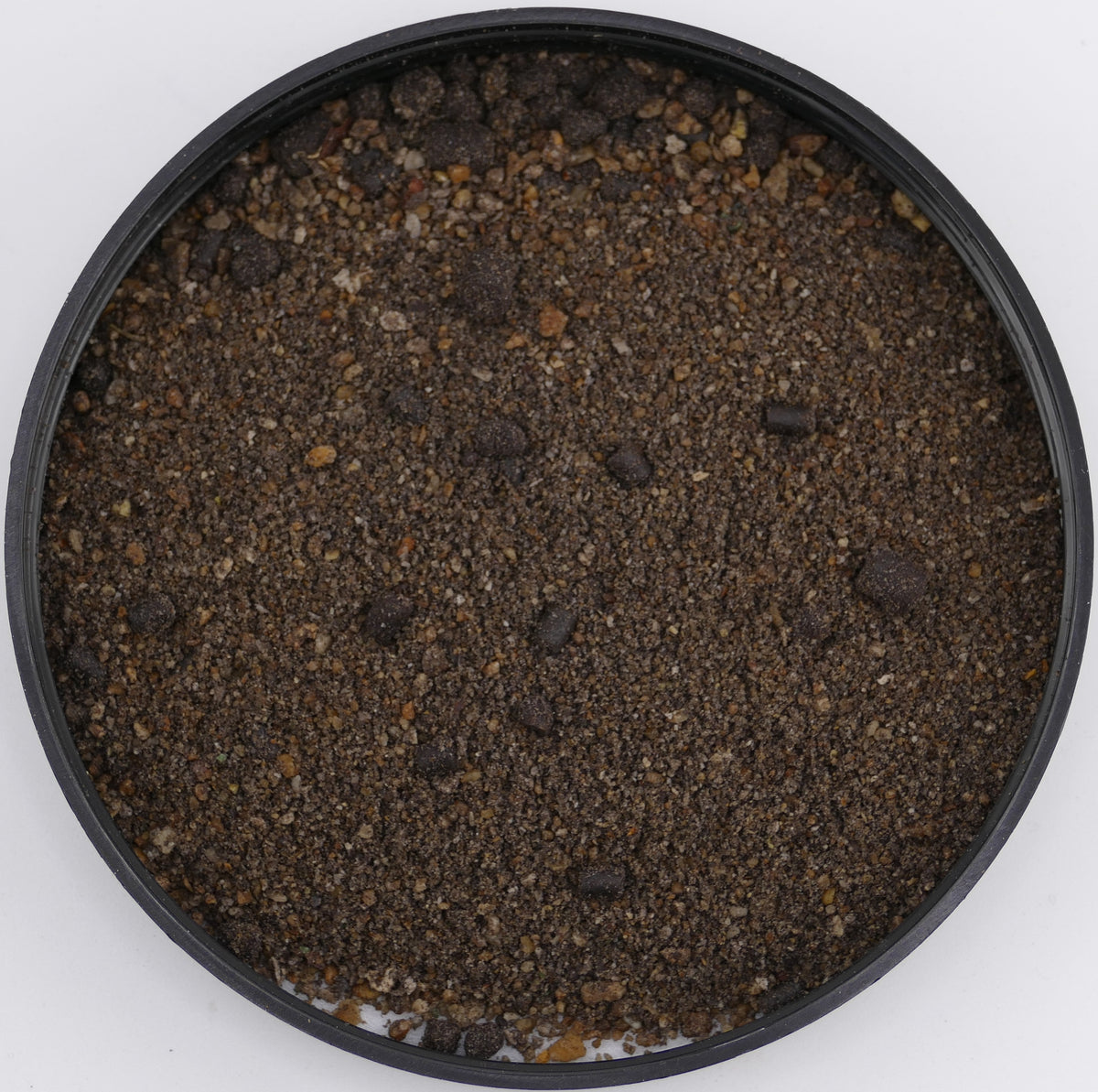Angelfutter Das ist Angeln Aalfutter 2kg