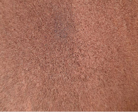 Blutmehl