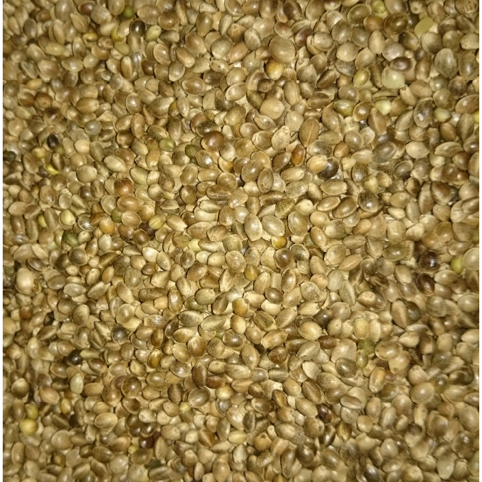 1kg bis 20kg Hanfsamen